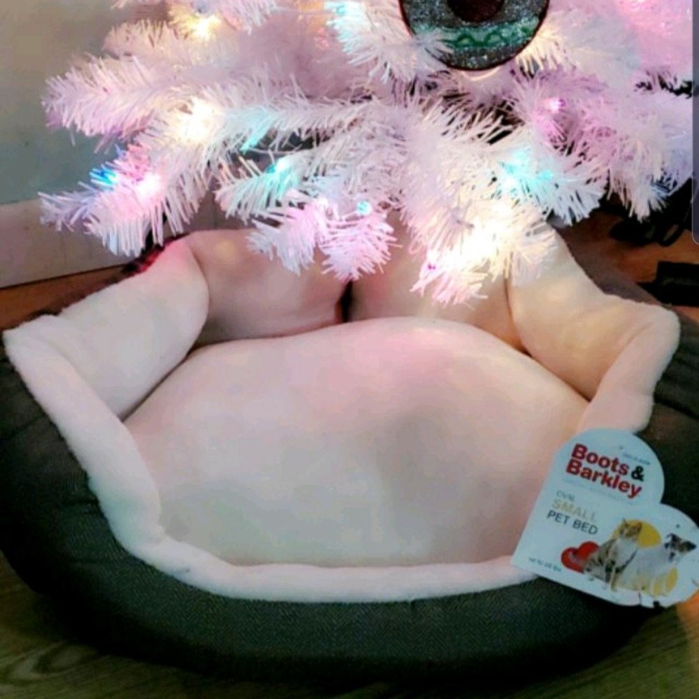 Small Pet Bed